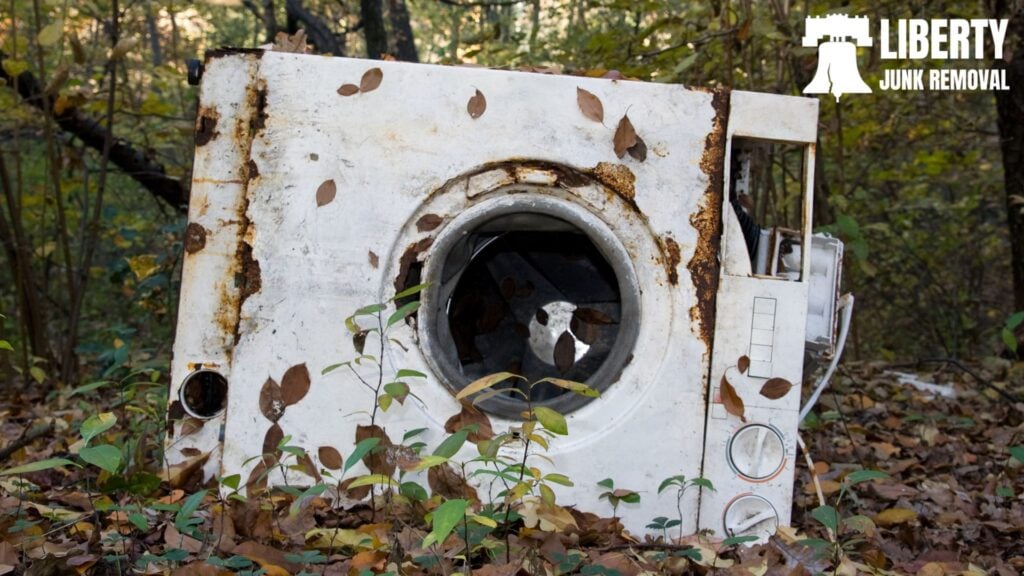 washing machine thrown away